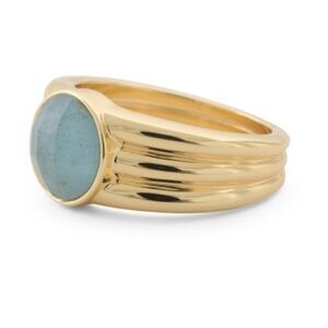 Gorjana New Size 8 Power Gemstone Reed Ring Aquamarine for Truth Calm Energy